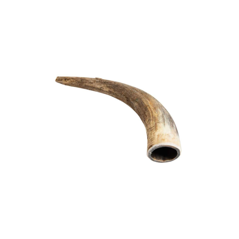 Corne d'appel en corne de vache - Pibole en corne - 25 cm - MILLIENS