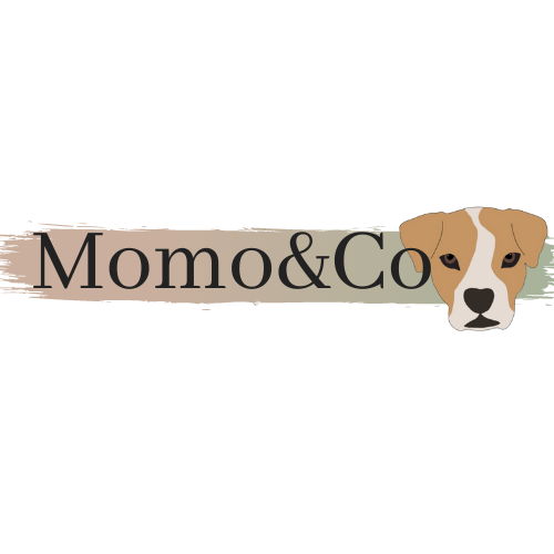 Momo&Co
